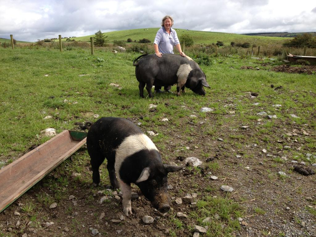 Burren Glamping Villa Kilfenora Esterno foto