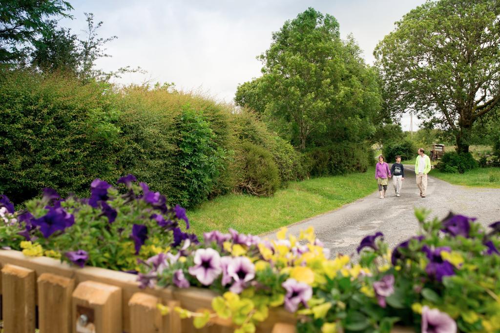 Burren Glamping Villa Kilfenora Esterno foto